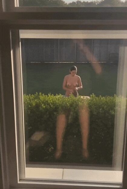 Spying on the neighbourhood pt.2 - #13
